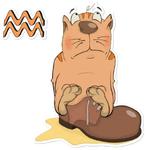 Zodiacat by @astrozodiac