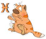 Zodiacat by @astrozodiac